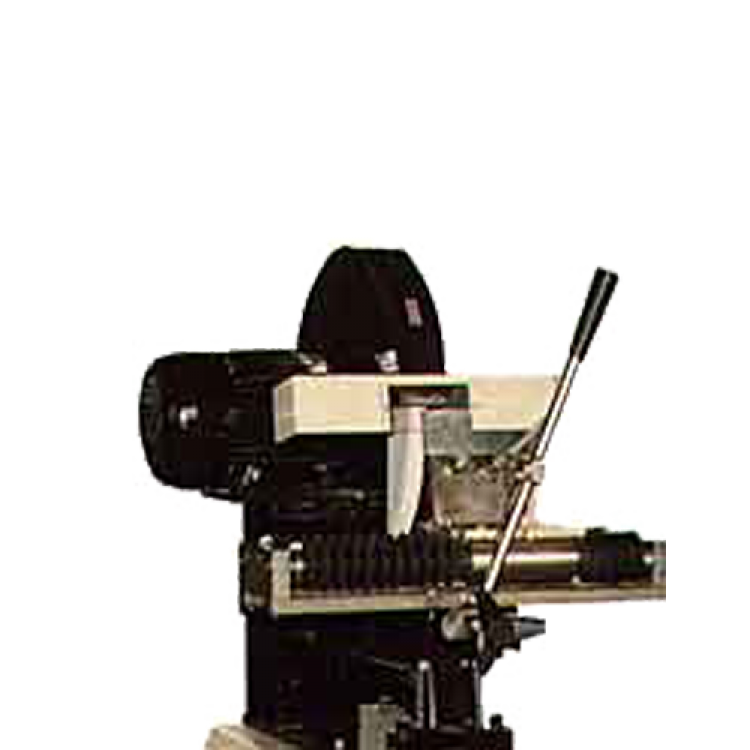 FALZONI