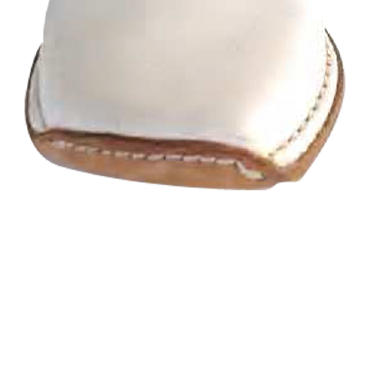 FALAN
